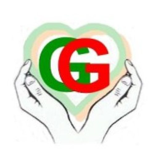 Georg Gesthuysen GmbH, Die Häusliche Krankenpflege mit Herz und Verstand